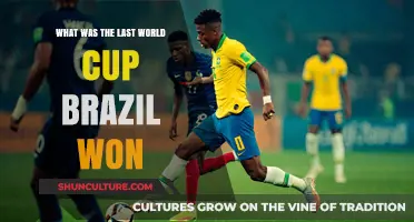 Brazil's Last World Cup Victory: A Historic Triumph Revisited