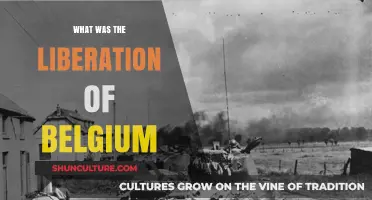 Belgium's Liberation: A Triumph of Allied Forces and Local Resistance