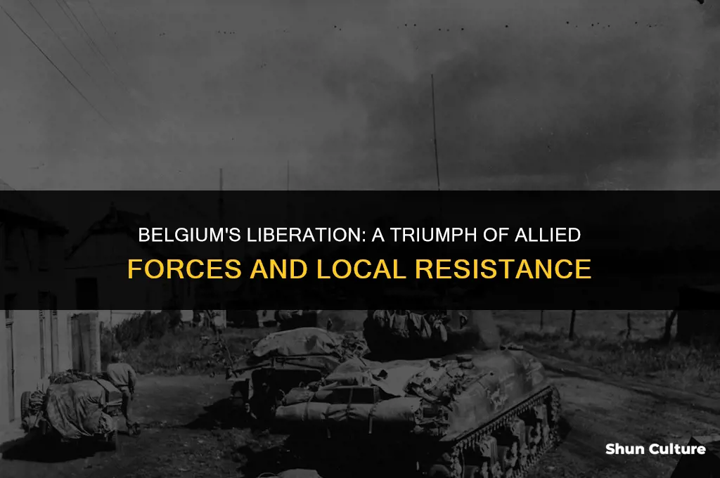 what was the liberation of belgium