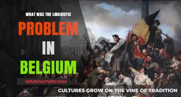 Unraveling Belgium's Complex Linguistic Landscape: A Historical Overview