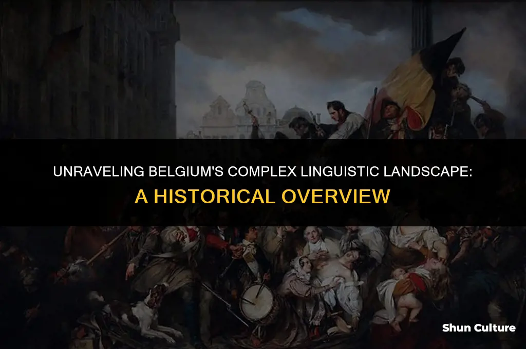 what was the linguistic problem in belgium