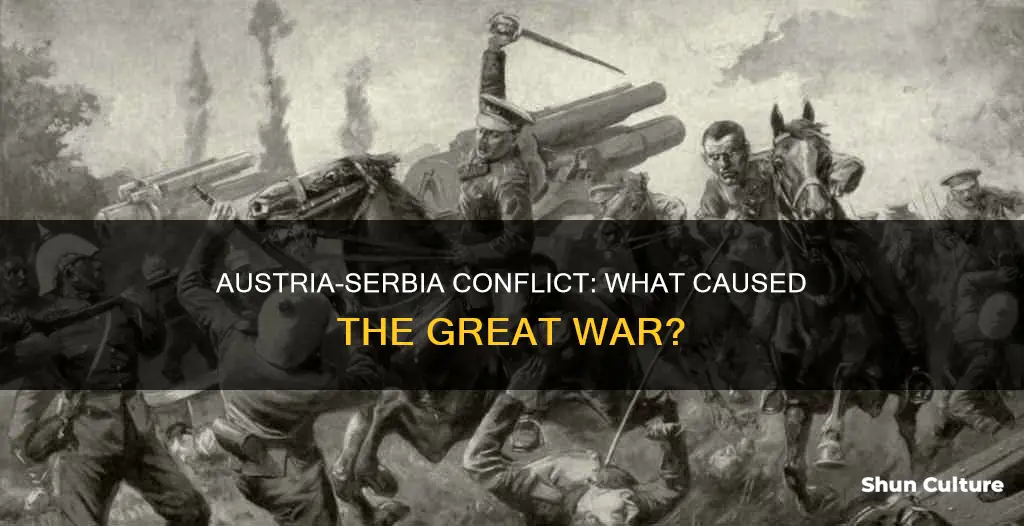 what was the main problem between austria and serbia