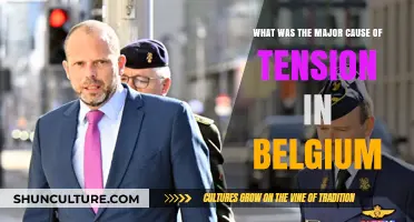Unraveling Belgium's Turbulent Past: The Root Causes of National Tension