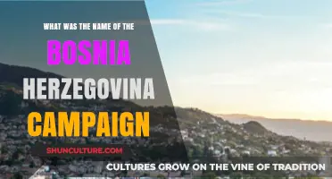 The Bosnia and Herzegovina Campaign: Uncovering Its Historic Name