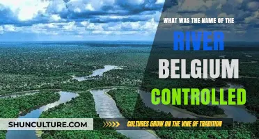 Belgium's Congo River Control: A Historical Overview
