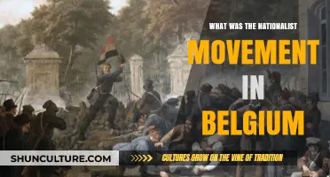 Exploring Belgium's Nationalist Movement: A Historical Perspective