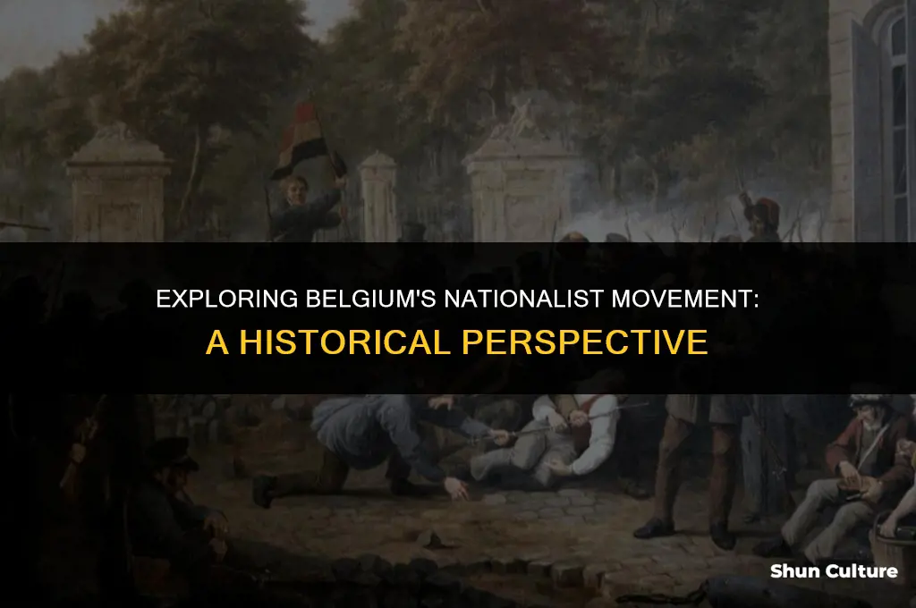 what was the nationalist movement in belgium