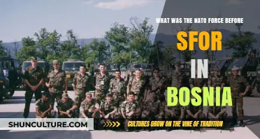 NATO's Bosnia Mission: Pre-SFOR Operations and Historical Context