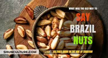 Historical Names for Brazil Nuts: Uncovering the Old Terminology
