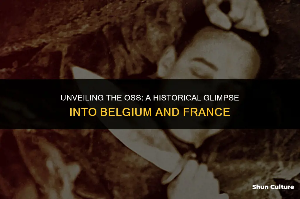 what was the oss in belgium and france