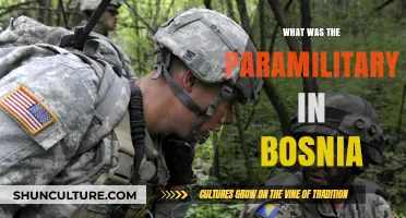 Bosnia's Paramilitary Forces: Origins, Role, and Impact Explained