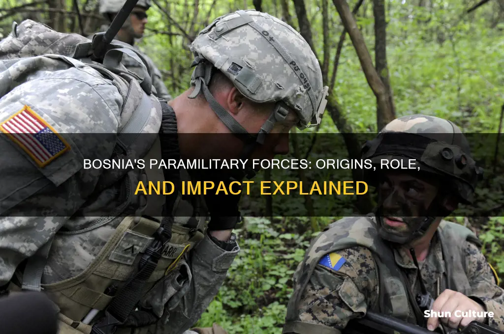 what was the paramilitary in bosnia