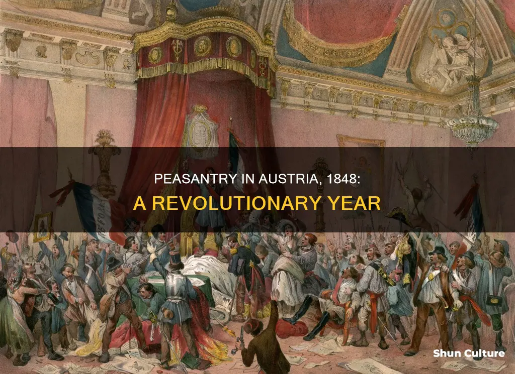 what was the peasantry in austria 1848