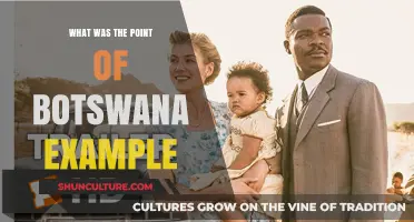 Botswana's Success Story: Unraveling the Purpose Behind Its Remarkable Example