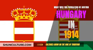 Austria-Hungary's 1914 Population: A Historical Overview