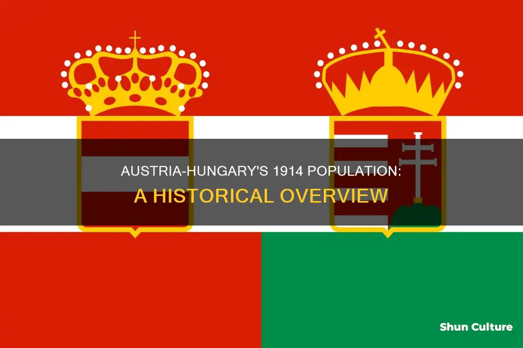 what was the population of austria hungary in 1914