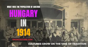 Exploring Austria-Hungary's Population: 1914 Snapshot