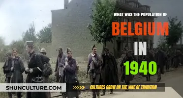 Belgium's Population on the Eve of World War II: A Historical Snapshot