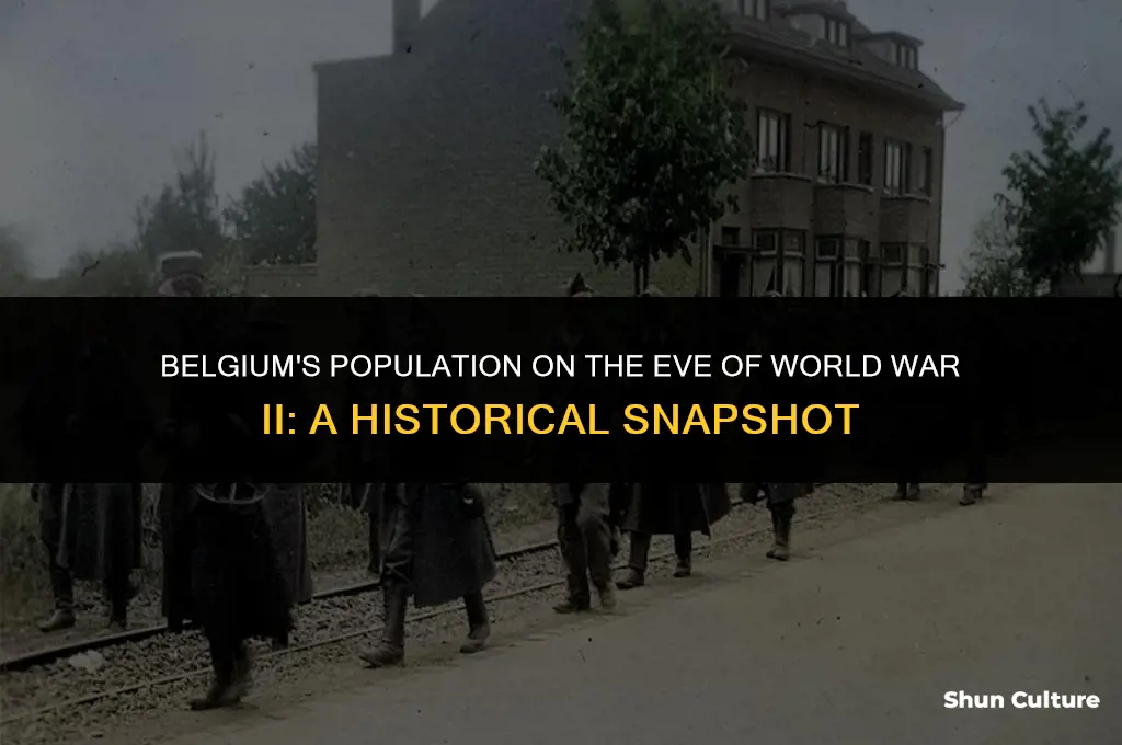 what was the population of belgium in 1940