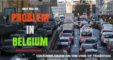 Unraveling the Complex Issues: A Deep Dive into Belgium's Challenges