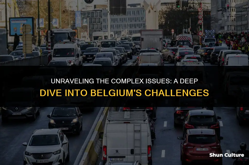 what was the problem in belgium