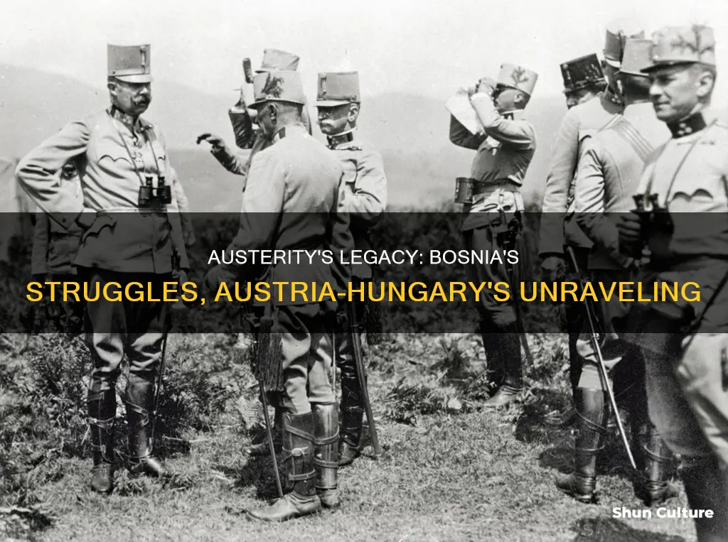 what was the problem with austria hungary and bosnia herzegovina