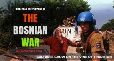Understanding the Bosnian War: Causes, Ethnic Tensions, and Devastating Consequences