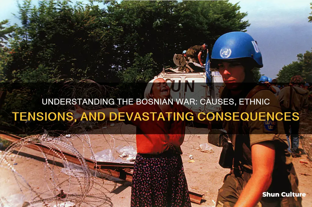 what was the purpose of the bosnian war