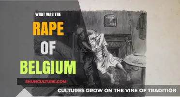 The Rape of Belgium: A Historical Tragedy Revisited