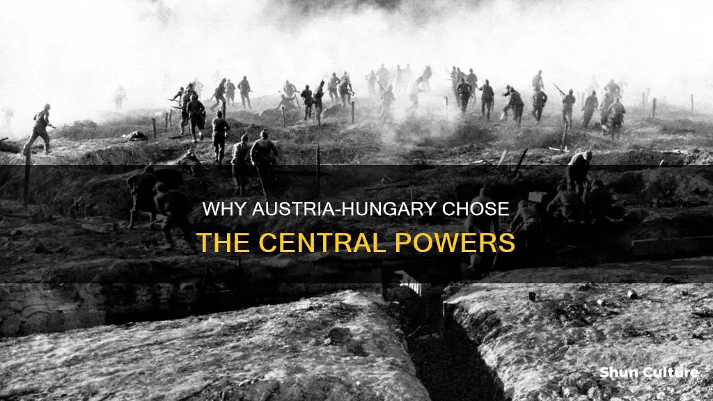 what was the reason that austria-hungary joined the central powers