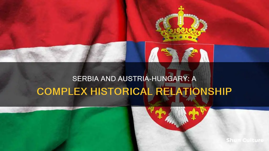 what was the relationship between serbia and austria hungary