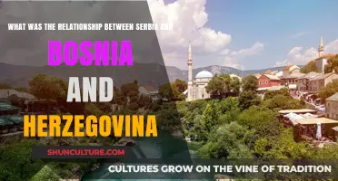 Serbia and Bosnia and Herzegovina: A Historical Relationship Overview