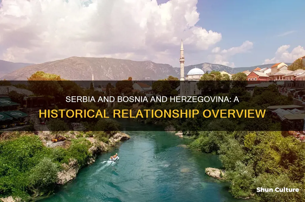 what was the relationship between serbia and bosnia and herzegovina