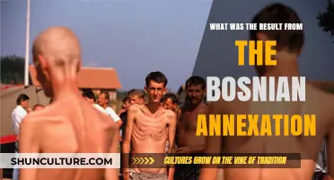 Bosnian Annexation Aftermath: Political, Social, and International Consequences Explored