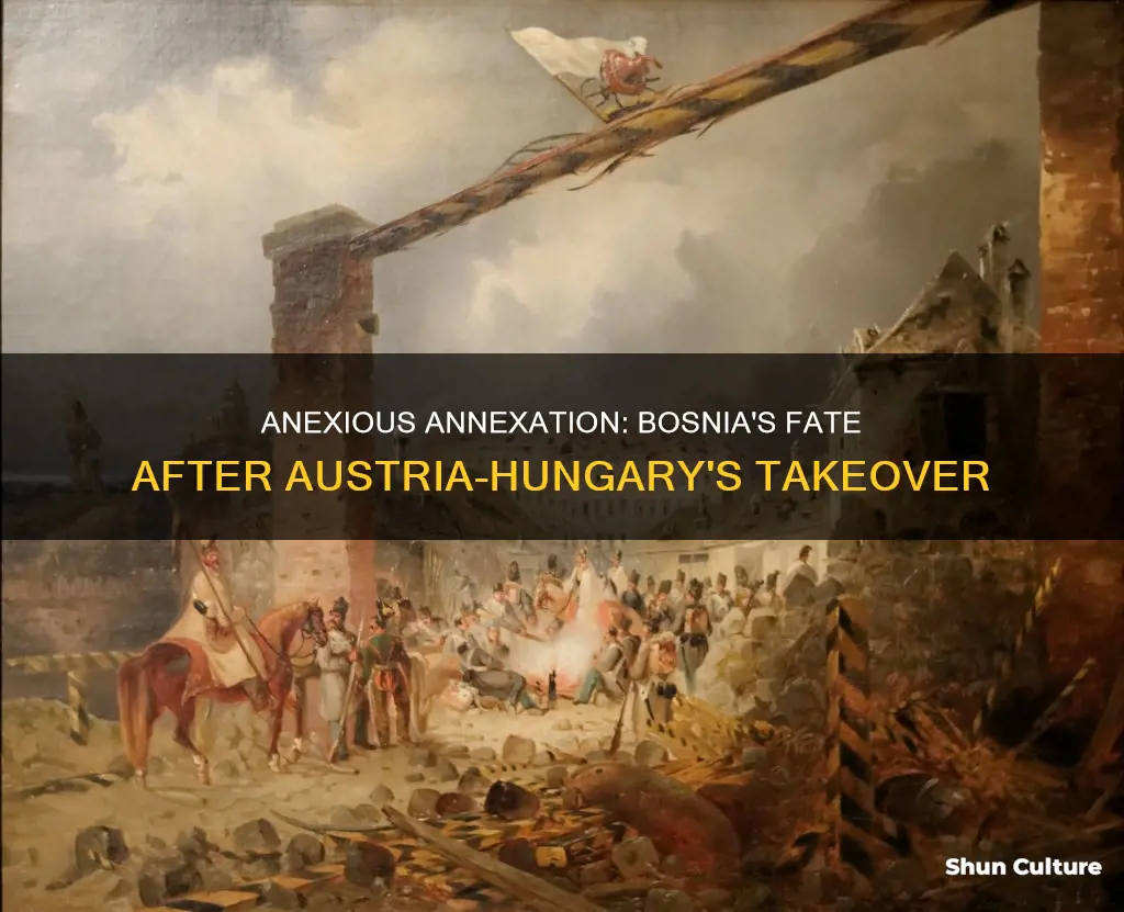 what was the result of austria-hungary annexing bosnia and herzegovina