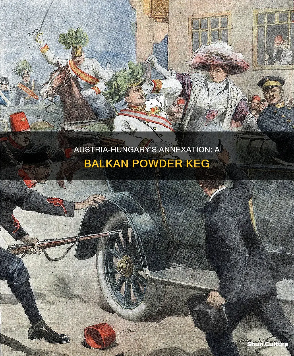 what was the result of austria-hungary annexing bosnia and herzegovina