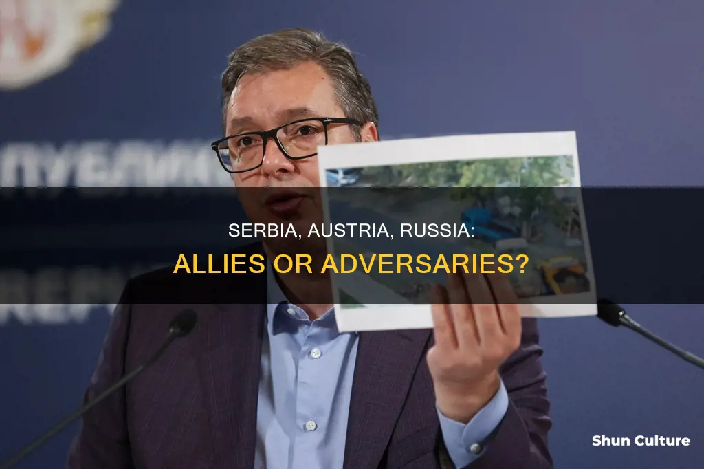 what was the role of serbia of austria of russia