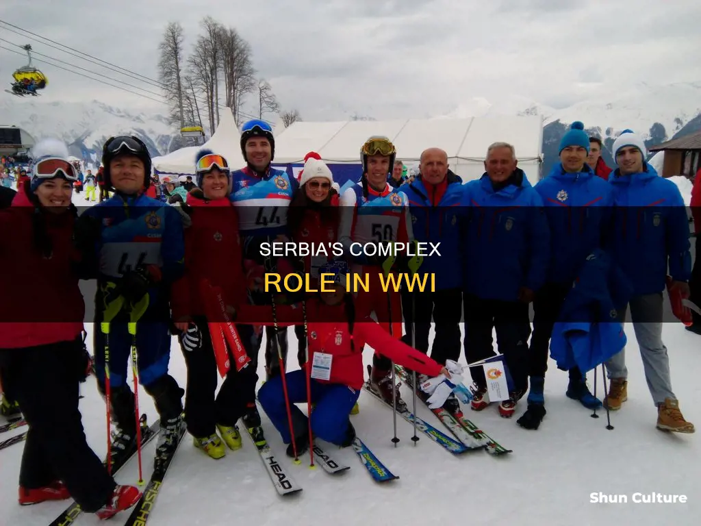what was the role of serbia of austria orf russia