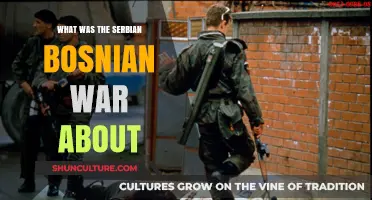 Understanding the Serbian-Bosnian War: Causes, Conflict, and Consequences