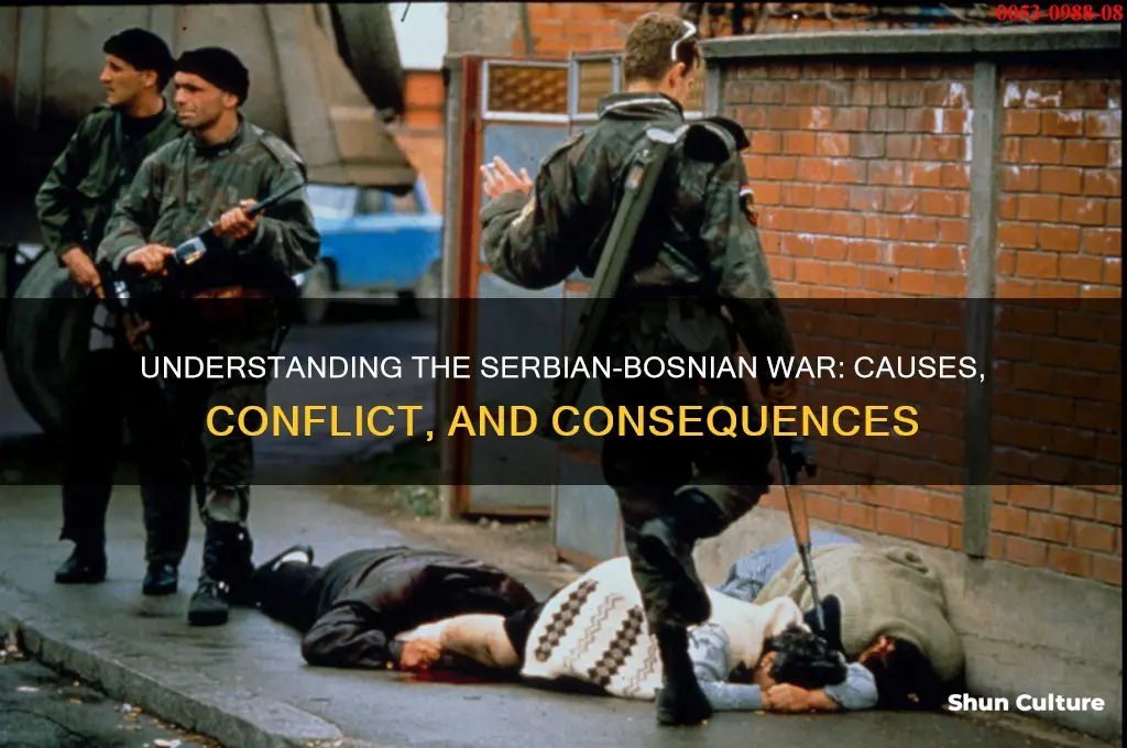 what was the serbian bosnian war about