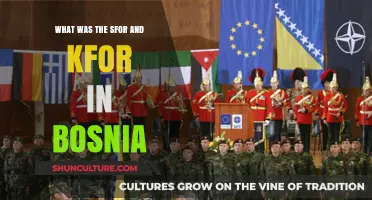 Understanding SFOR and KFOR: NATO's Role in Bosnia's Peacekeeping Missions