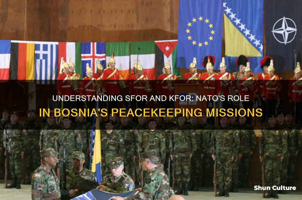 what was the sfor and kfor in bosnia