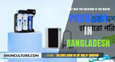 Solving Bangladesh's Water Crisis: Innovative Solutions and Community Efforts