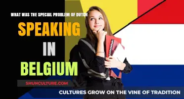 The Unique Challenge of Dutch Language in Belgium