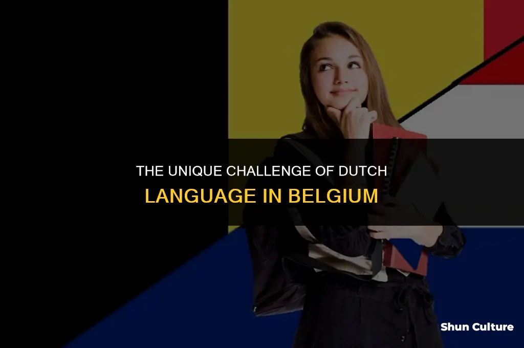 what was the special problem of dutch speaking in belgium
