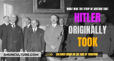 Hitler's Initial Austrian Conquest: The Sudetenland