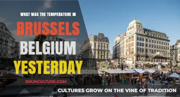 Brussels Temperature Update: A Look Back at Yesterday's Weather