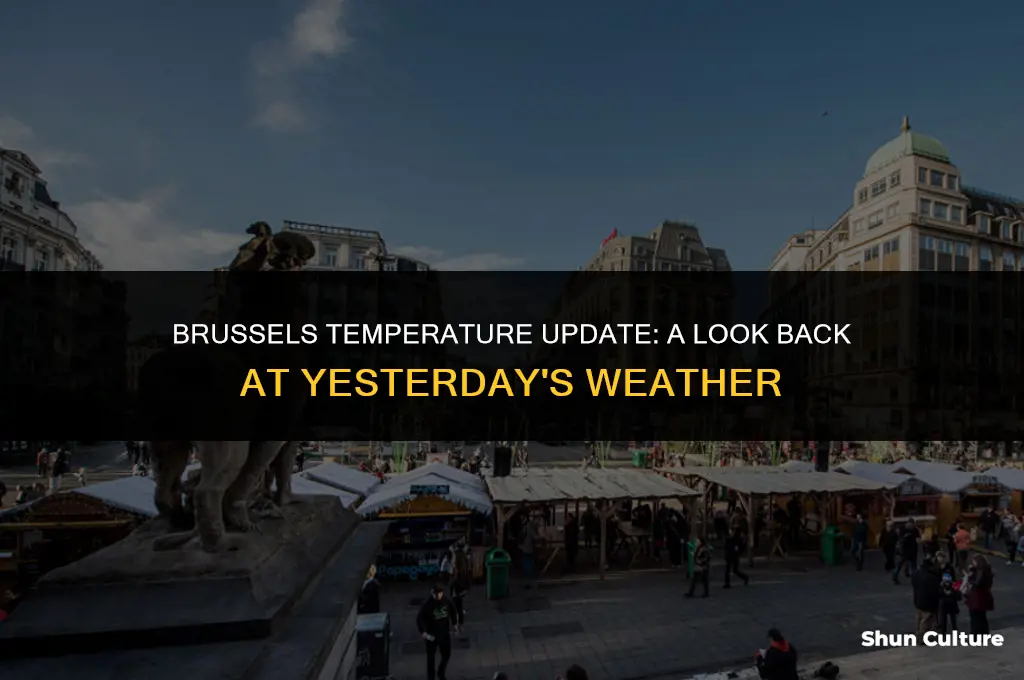 what was the temperature in brussels belgium yesterday
