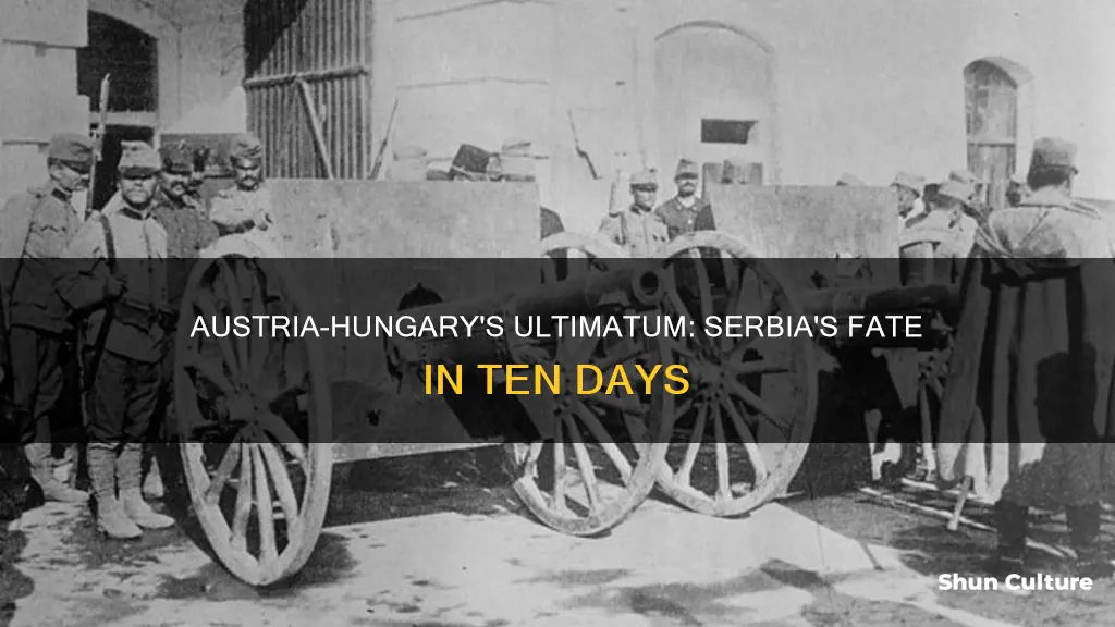 what was the ultimatum that austria-hungary gave to serbia