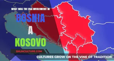 USA's Role in Bosnia and Kosovo: Intervention and Impact